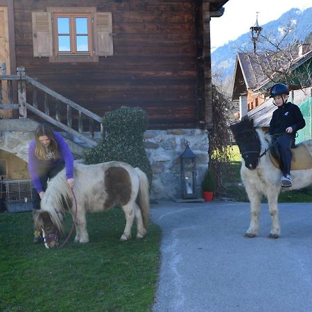 Ferienhaus Bognerhof Sankt Veit im Pongau Ngoại thất bức ảnh