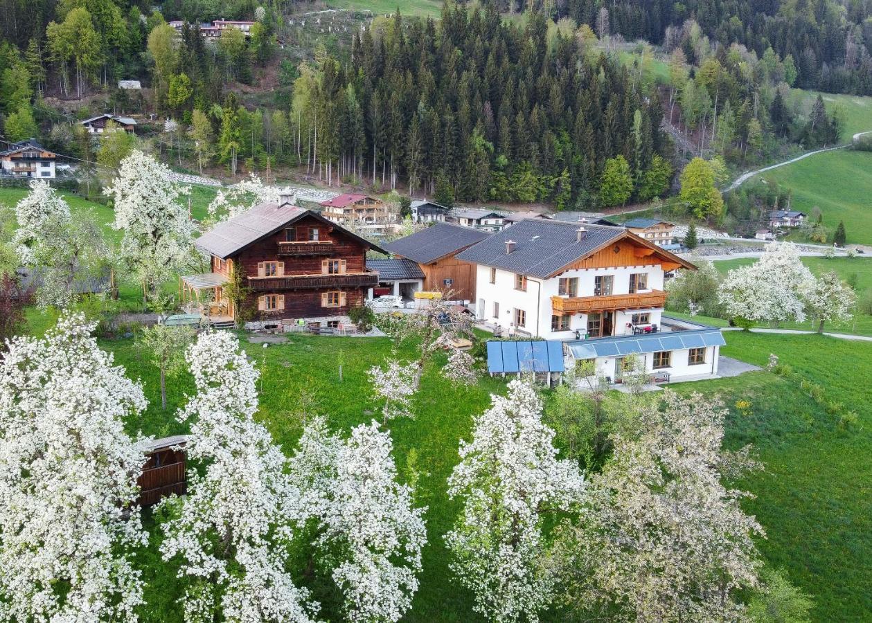 Ferienhaus Bognerhof Sankt Veit im Pongau Ngoại thất bức ảnh